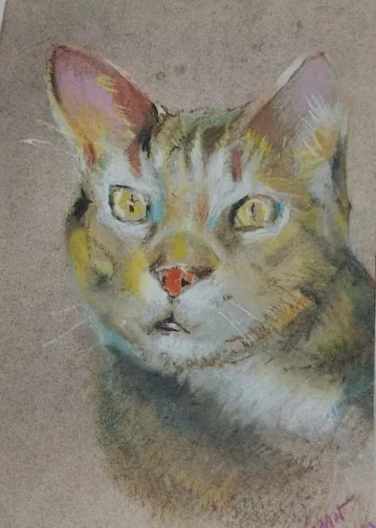 Cat (ART-15604-117331) - Handpainted Art Painting - 11in X 15in