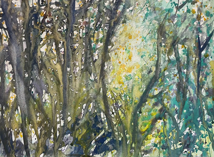 Forest Canopy (PRT-8841-117605) - Canvas Art Print - 24in X 18in