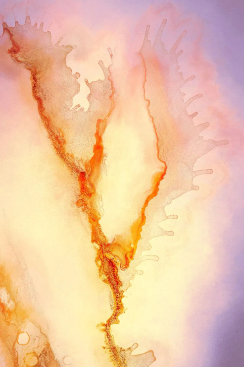Vibrant Abstract Patterns (PRT-15842-119089) - Canvas Art Print - 24in X 36in