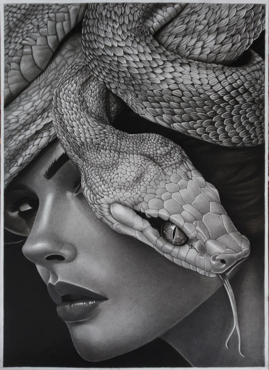 Serpent Crown (ART-18115-119319) - Handpainted Art Painting - 12in X 17in