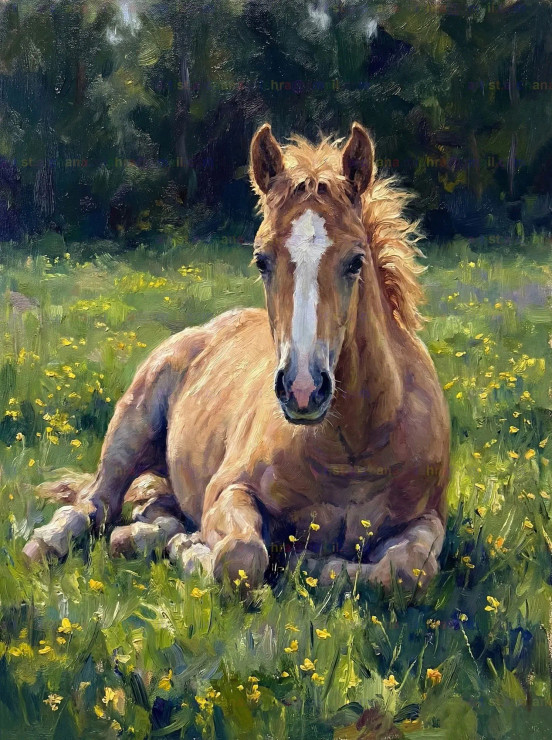 The Heart Of The Heartland (PRT-15697-120092) - Canvas Art Print - 45in X 60in