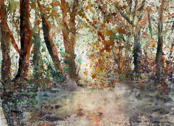 Tranquil Forest (PRT-8841-120968) - Canvas Art Print - 24in X 17in