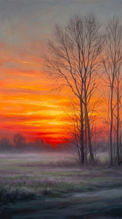Silent Evening Meadow (20260428) (PRT-15697-122097) - Canvas Art Print - 33in X 60in