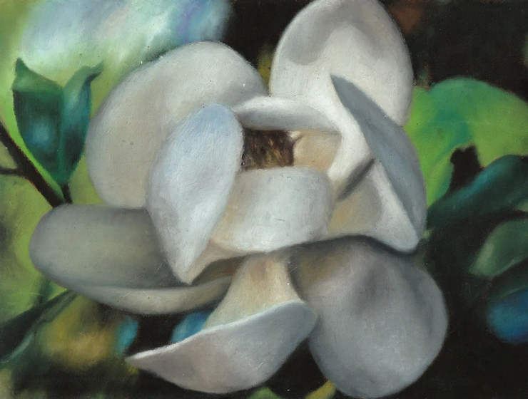 White Bloom (PRT-18500-122207) - Canvas Art Print - 18in X 14in