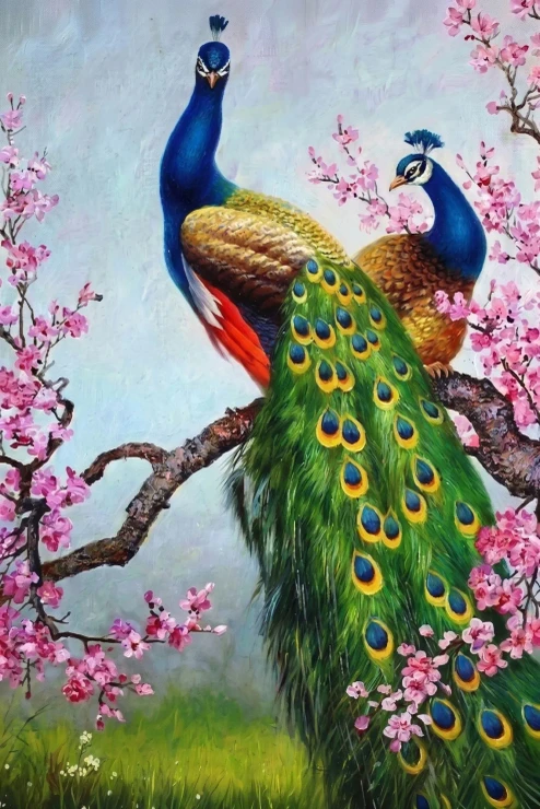 Peacocks Among Cherry Blossoms (PRT-15697-125190) - Canvas Art Print - 40in X 60in