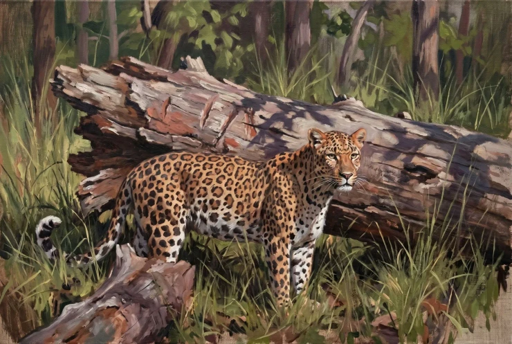 Fallen Semal Timber Pause (PRT-15697-126701) - Canvas Art Print - 60in X 40in