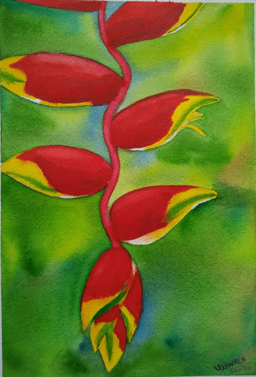,Heliconia flower,ART_1243_11320,Artist : Ujwala Chavan,Water Colors