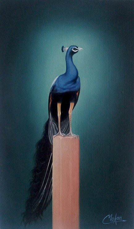 peacock,Peacock,ART_1090_14410,Artist : Mohan Verma,Oil