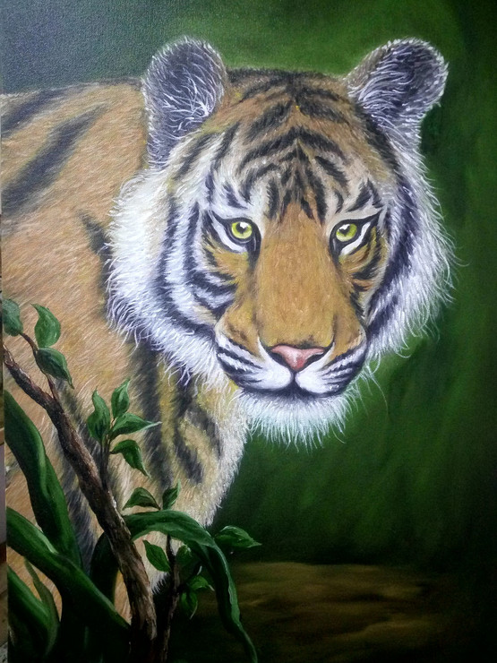 Tiger,TIGER,ART_1815_14638,Artist : SHEKHAR BALAIAH,Oil
