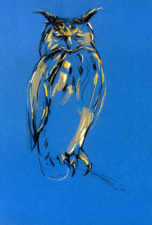 owl paintings,56Anm120,MTO_1550_15215,Artist : Community Artists Group,Mixed Media