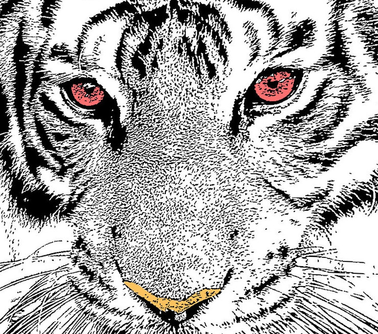 tiger paintings,56Dec67,MTO_1550_15359,Artist : Community Artists Group,Mixed Media