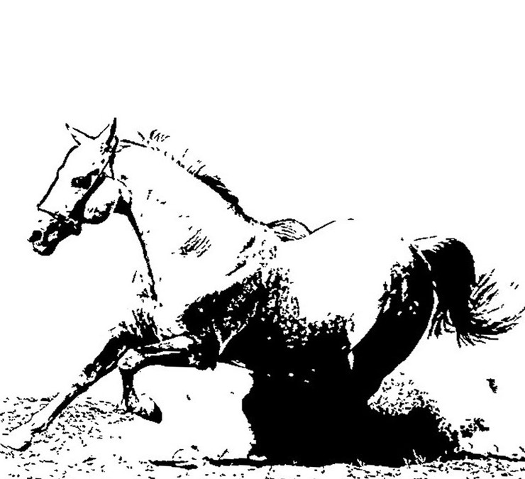 horse paintings,56Dec51,MTO_1550_15345,Artist : Community Artists Group,Mixed Media