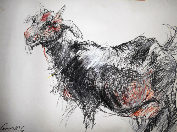 goat drawing  study animal pastel ,Goat,ART_530_17758,Artist : Kishore Ghosh,Pastels