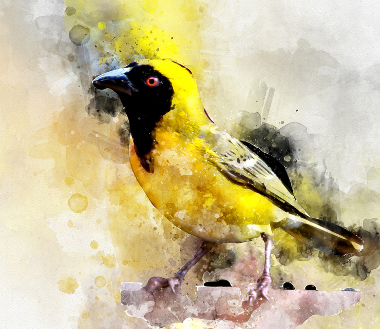 Yellow, sparrow,The yellow bird,MTO_1550_17781,Artist : Community Artists Group,Mixed Media