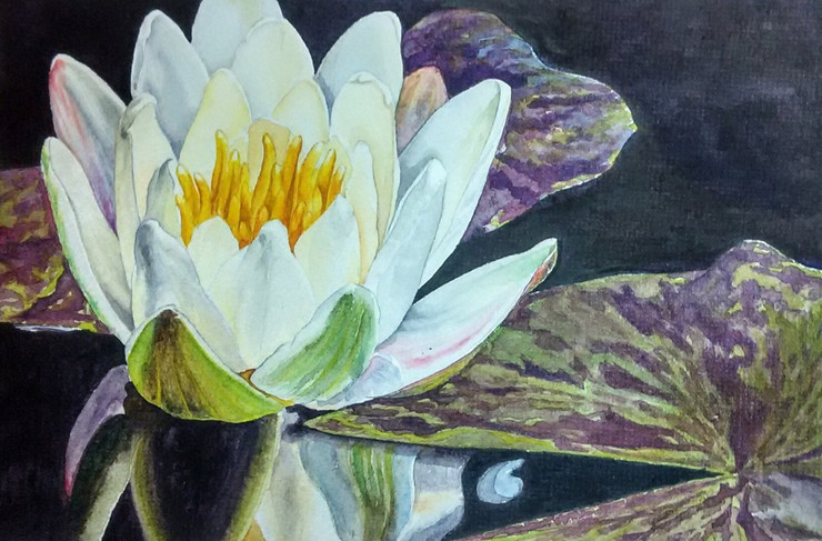 Water lily (ART_3116_22143) - Handpainted Art Painting - 8in X 5in