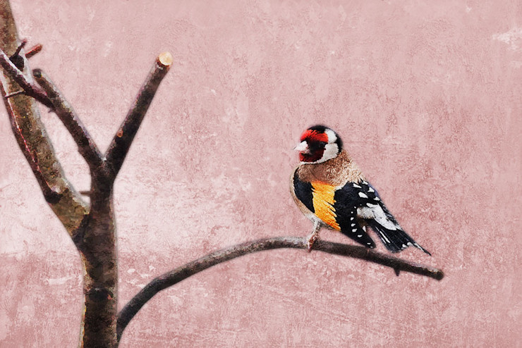 Bird3 - 36in X 24in,31Bird13_3624,Red, Pink, Orange,90X60 Size,Flowers, Animals, Nature Art Canvas Painting