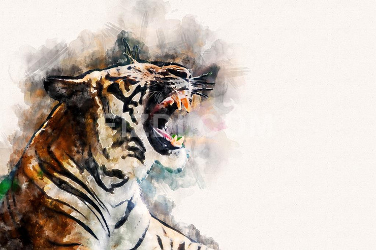 Tiger (PRT_56) - Canvas Art Print - 32in X 21in