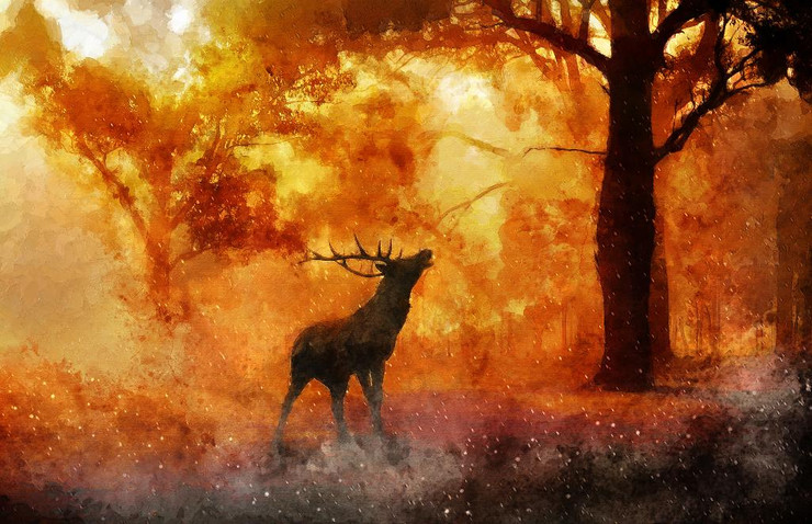 Deer In Forest (PRT_406) - Canvas Art Print - 33in X 21in