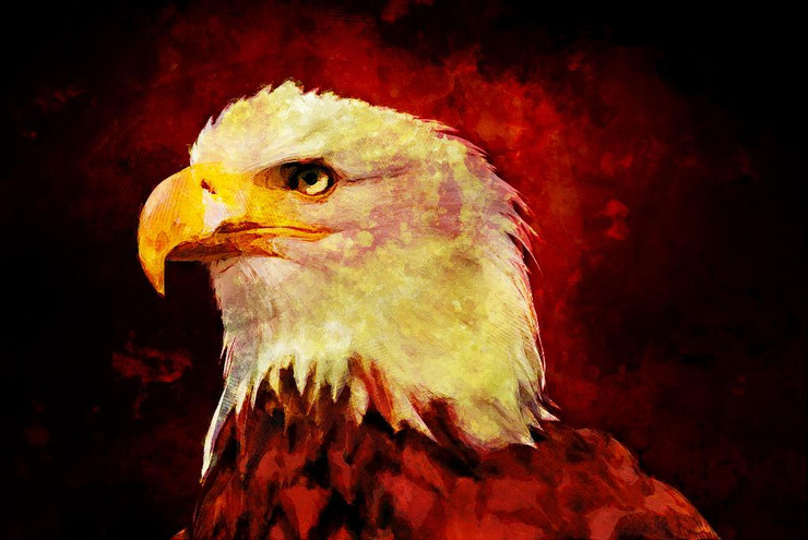 Bald Eagle (PRT_493) - Canvas Art Print - 32in X 21in