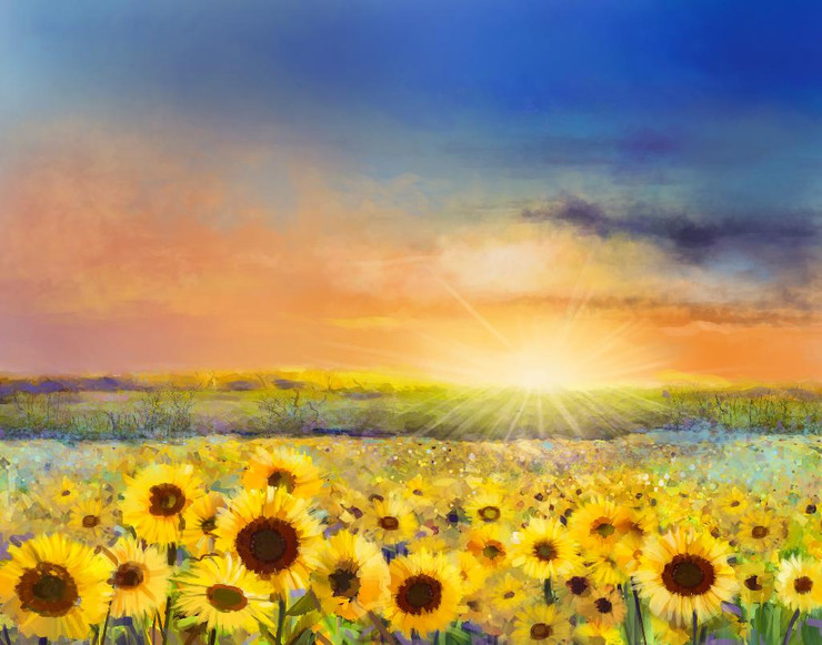 Sunflowers With Sunrise (PRT_868) - Canvas Art Print - 27in X 21in