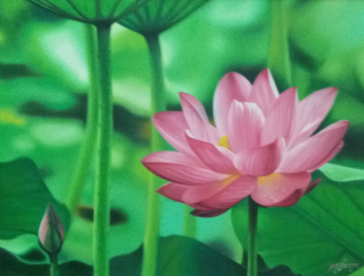 Flower lotus (ART_6737_39093) - Handpainted Art Painting - 24in X 18in