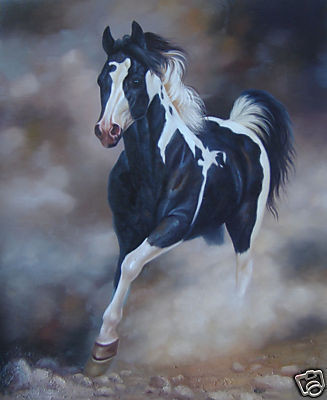 Horse,Horses,race,Speed,Prime,mighty,Jockey