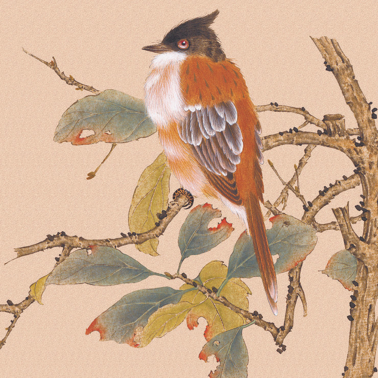 Bird In Nature 07 (PRT_1195) - Canvas Art Print - 28in X 28in
