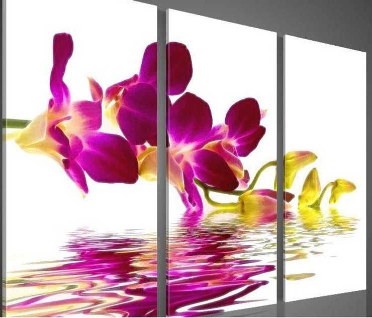 flower, flowers, purple flower, orchid, orchids,puple orchids, water, orchid in water, flower in water, flower near water