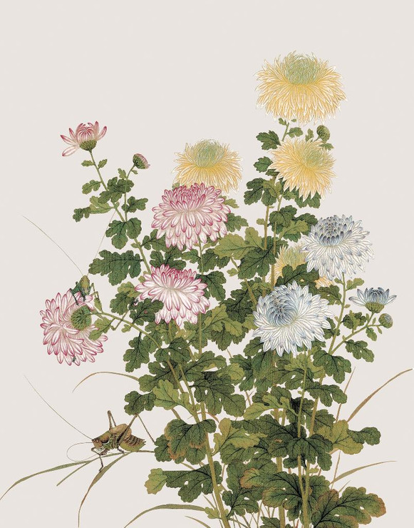 Aster Flower (PRT_1426) - Canvas Art Print - 19in X 25in