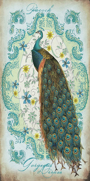 Peacock 05 (PRT_1448) - Canvas Art Print - 19in X 38in