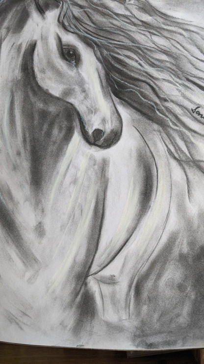 The princess only needed the white horse (ART_1786_44116) - Handpainted Art Painting - 12in X 16in