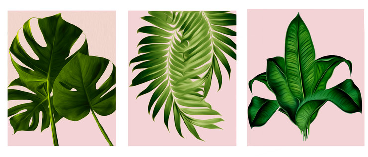 Tropical Leaves (PRT_7096_44062) - Canvas Art Print - 68in X 25in