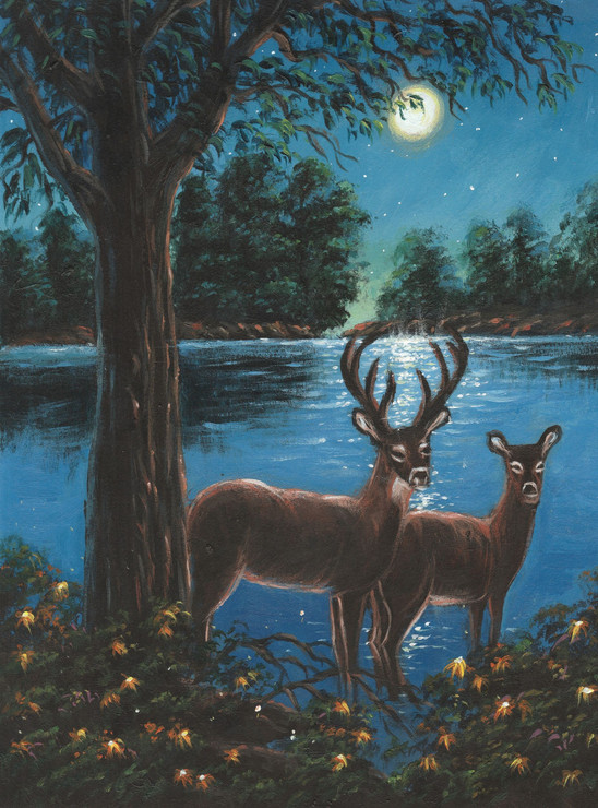 The Deer Couple In The Moonlight (PRT_4815_47129) - Canvas Art Print - 18in X 24in