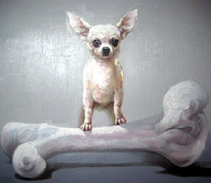 Dog,Small Dog,Dog with Bone,Header,Boss,Puppy,Dog Baby