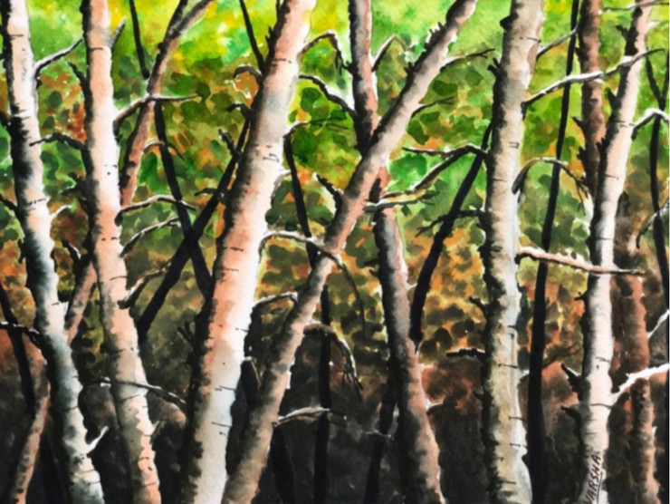 Woods (ART_7420_48027) - Handpainted Art Painting - 12in X 10in