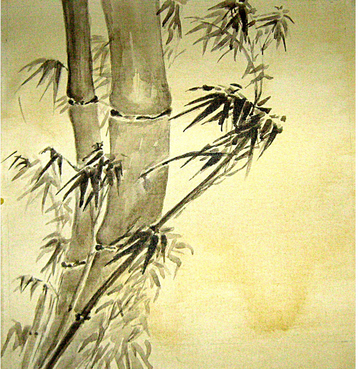 Landscape,Nature,Baboo Tree