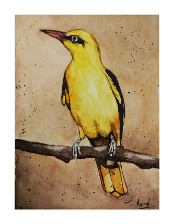 Golden Oriole (ART_7317_49486) - Handpainted Art Painting - 5in X 7in