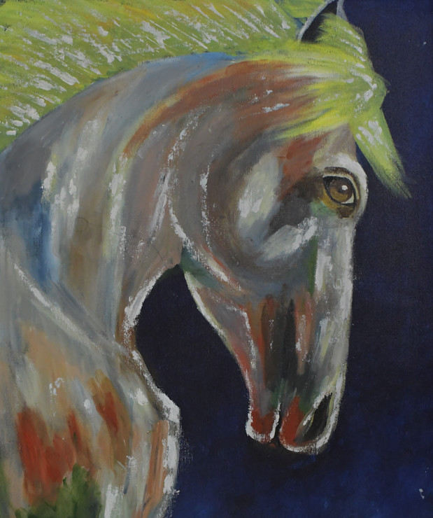 Glowing horse (ART_7566_49603) - Handpainted Art Painting - 17in X 20in