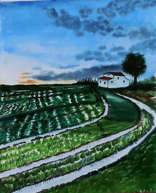 Paddy field painting (ART_7602_49904) - Handpainted Art Painting - 8in X 10in