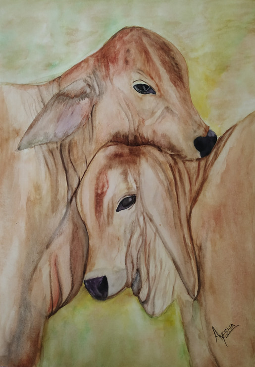 Cute Calves (ART_7243_50345) - Handpainted Art Painting - 12in X 16in
