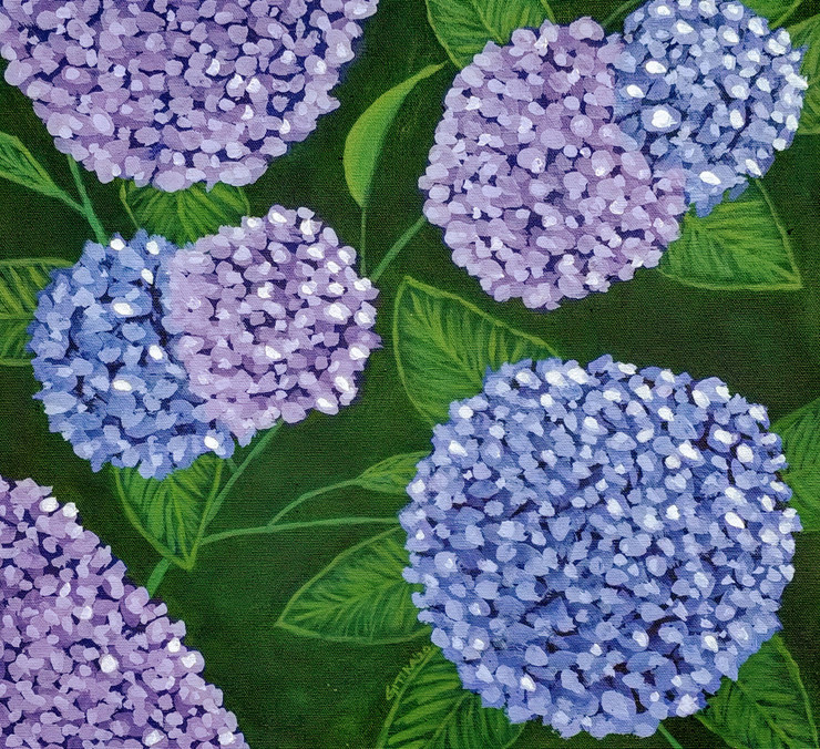 Hydrangeas (ART_7442_48381) - Handpainted Art Painting - 16in X 15in