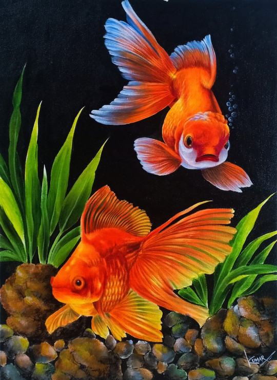 Gold fish (ART_7677_50878) - Handpainted Art Painting - 15in X 21in