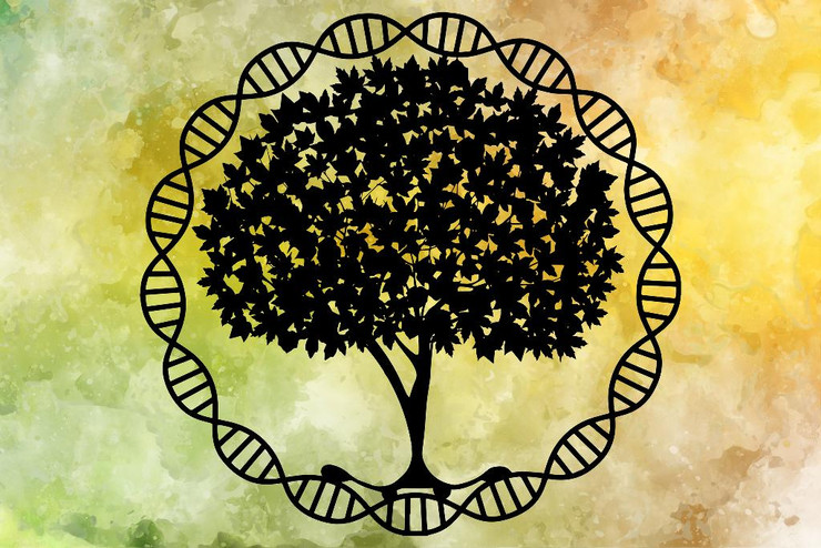 Tree Art With Light Background 5 (PRT_1972) - Canvas Art Print - 18in X 12in