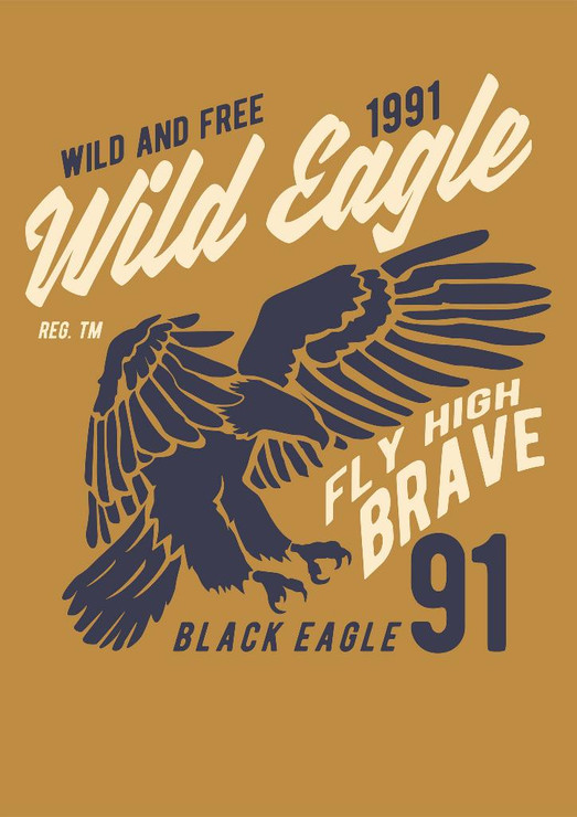 Wild Eagle (PRT_3156) - Canvas Art Print - 21in X 29in