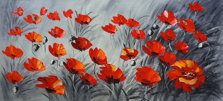 Flowers,Red Poppes,Red flower with black Background
