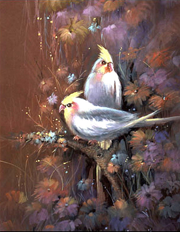 Bird,Bird Pair,Love Bird,White Bird, White Bird with Brown Background
