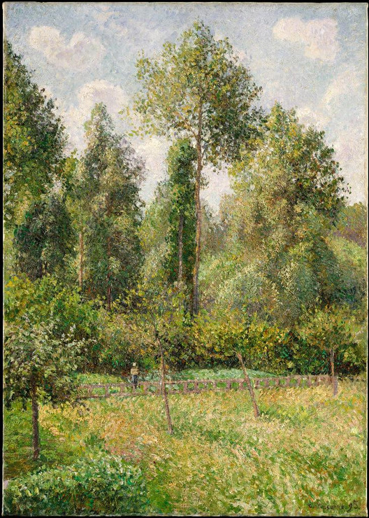 Poplars, √âragny by Camille Pissarro
(PRT_4328) - Canvas Art Print - 17in X 23in
