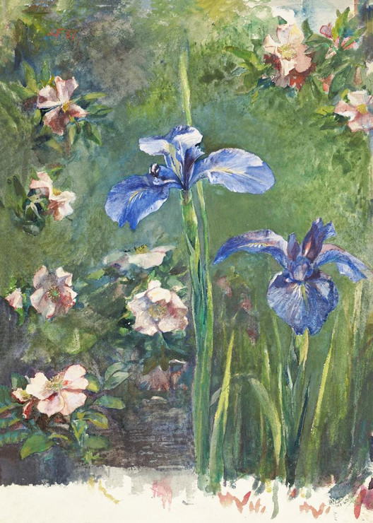 Wild Roses And Irises  by John La Farge
(PRT_4931) - Canvas Art Print - 16in X 22in