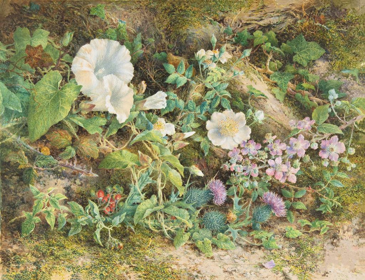 Flower Study by John Jessop Hardwick
(PRT_5038) - Canvas Art Print - 21in X 16in