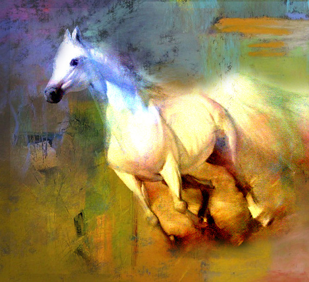 Horse,Red,Pink Shades,Horses,Ridder,Speed,White Horse